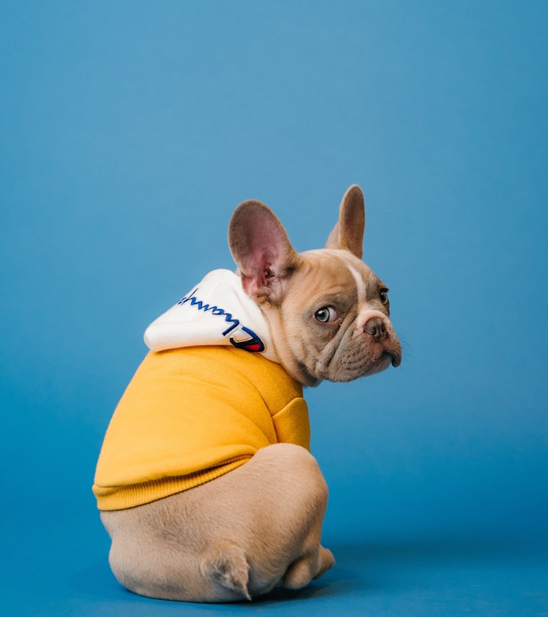 Jordan T. dog photo